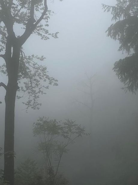 云雾迷蒙的意思