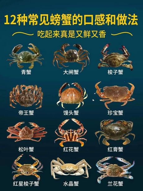 河蟹烹饪全攻略