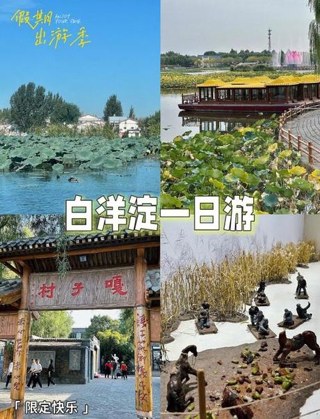 白洋淀攻略，白洋淀旅游攻略