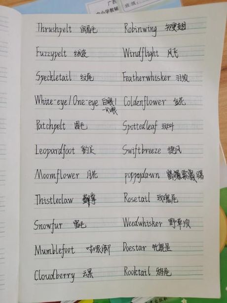如何正确书写英文名字