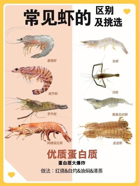 如何处理虾：从选购到清洗的完整指南