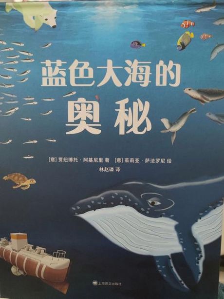 海里和公里的换算奥秘