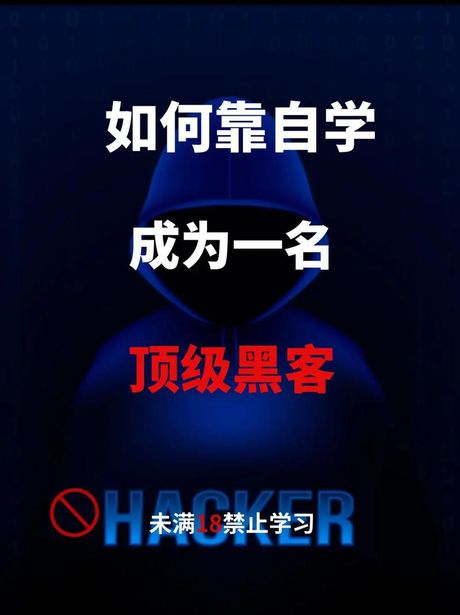 怎么当黑客：理解网络安全与道德黑客