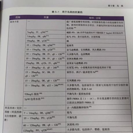 药物剂量单位转换：0.1克等于多少毫克？