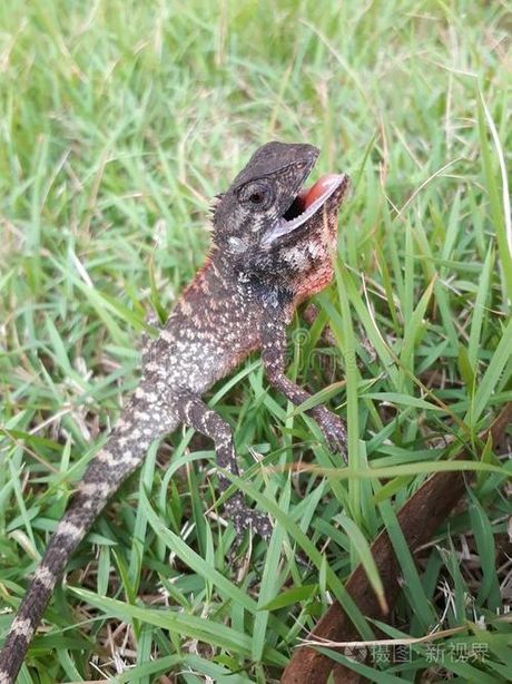 弗吉尼亚大学:2024年的成就与展望