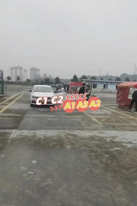 猪兼强驾校：全方位解析