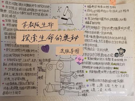 造化：自然界与生命的奇妙创造