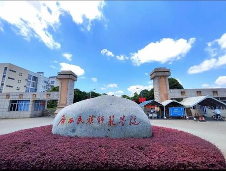 广西民族师范学院怎么样，广西民族师范学院概览