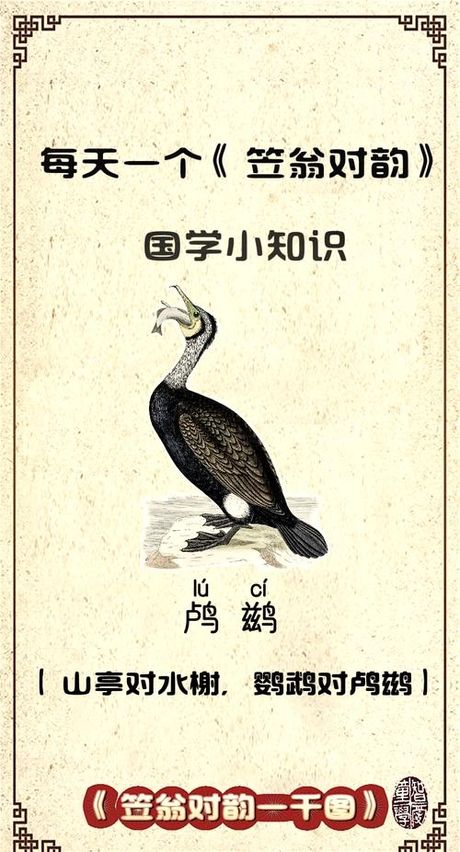 鹚怎么读，鹚字的读音与解析