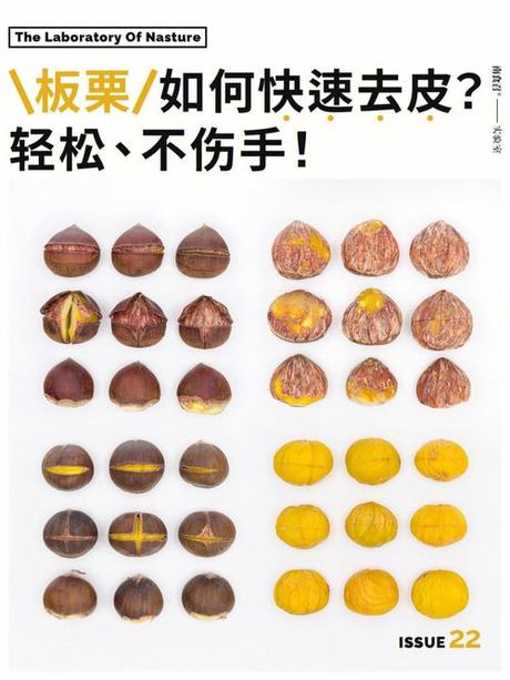 生板栗去皮最快方法