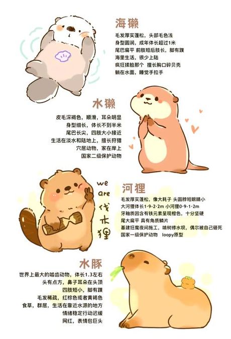 水獭怎么读：探索獭字的正确发音与含义