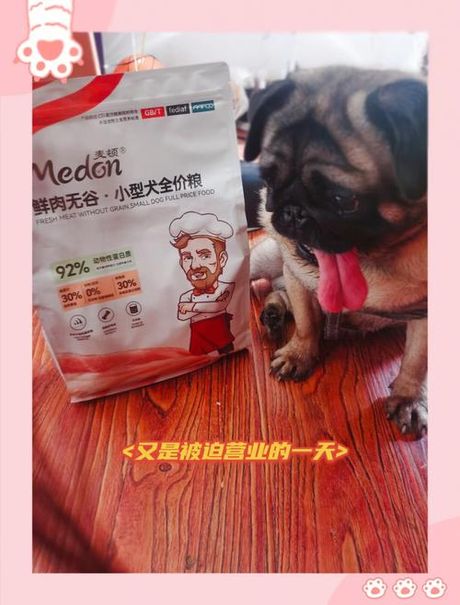 麦顿狗粮怎么样，麦顿狗粮综合评测