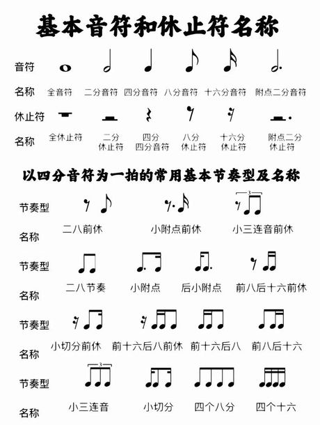 抖音音符怎么弹：探索音乐短视频的魅力