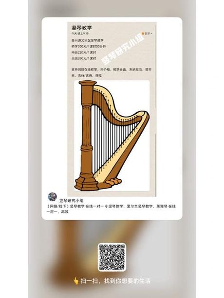 竖琴价格揭秘：从入门级到专业级的全面了解