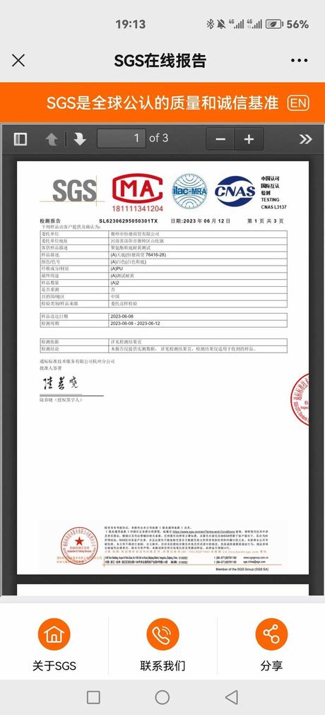 sgs是什么意思，SGS是什么意思