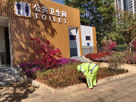附近公厕在哪里：探索城市卫生设施的秘密