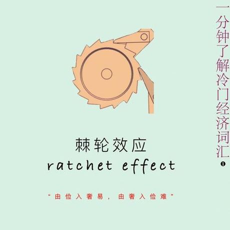 投食：一种有趣的社会现象