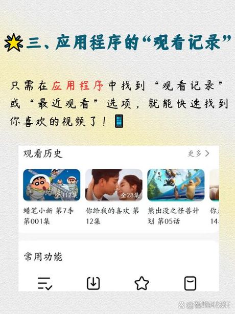 探索网络记忆：如何查看历史记录