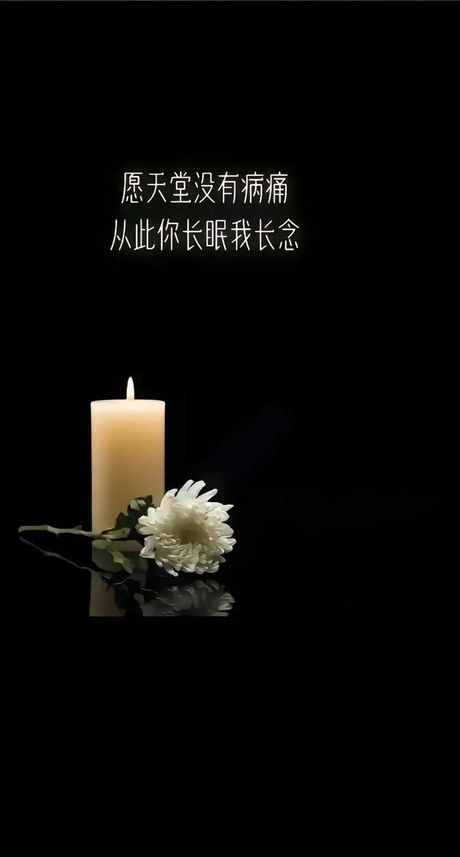 痛彻心扉什么意思