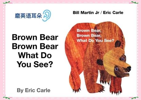 熊英语怎么读，熊的英语读音解析