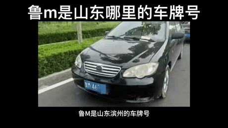 揭秘鲁M车牌：山东滨州的专属标识