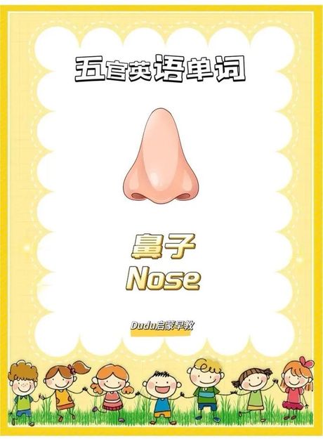 鼻子英语怎么读，鼻子的英语读音
