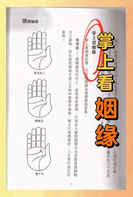婚姻线的奥秘：如何解读你的婚姻状况