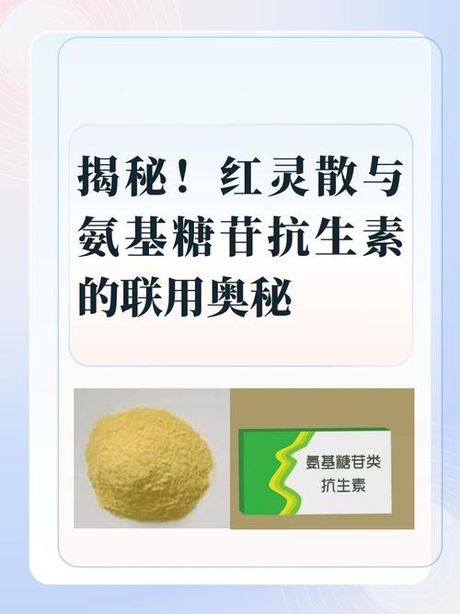 苷的读音与奥秘