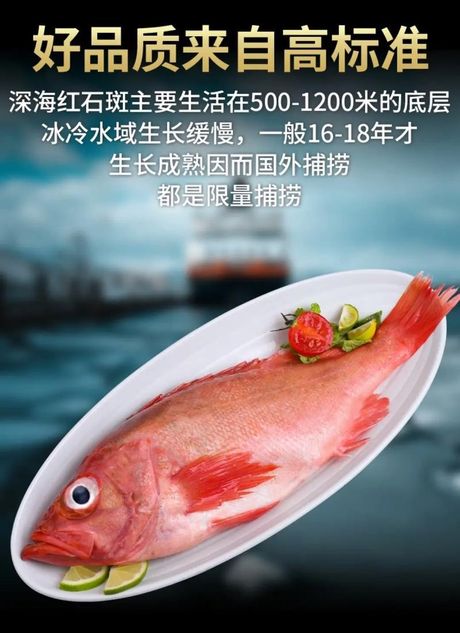 冰冻石斑鱼的烹饪技巧