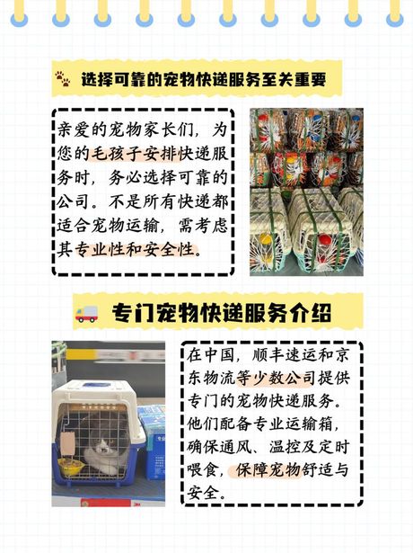 活体宠物怎么快递，活体宠物快递指南