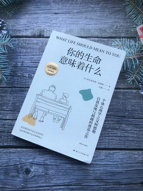 归宿：寻找生命的意义与终点