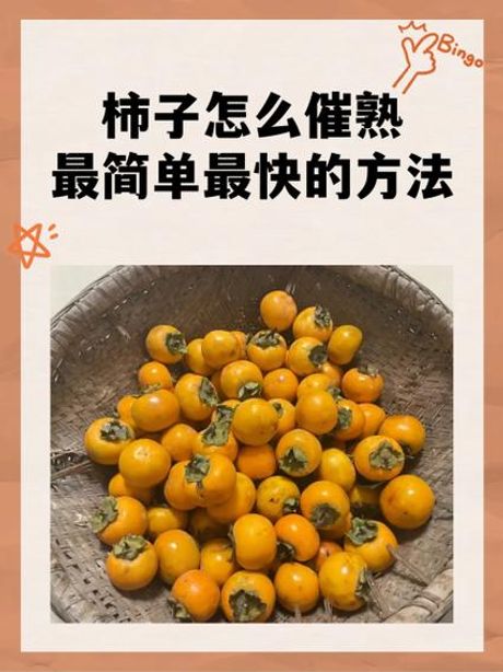 柿子去涩最快的方法