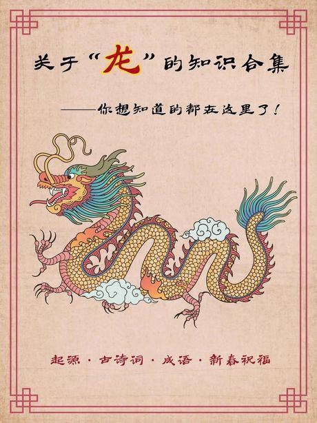 探索“dragon”的发音奥秘