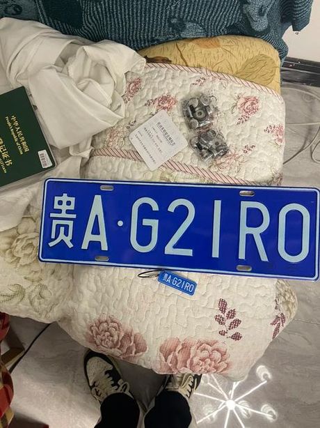 BS车牌的秘密：不仅仅是数字和字母