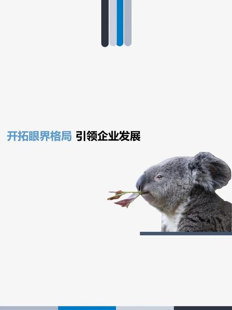 开拓的意思