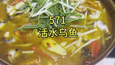 乌鱼怎么做：从选购到烹饪的完整指南