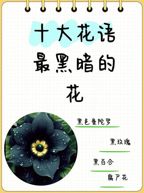 魔男的故乡：神秘与传说的交织