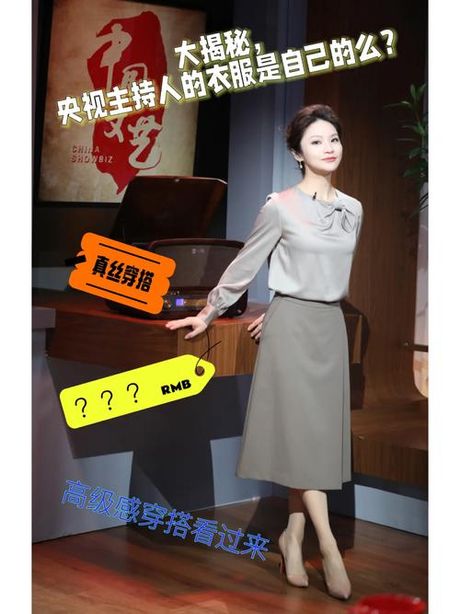 中央电视台主持人工资揭秘