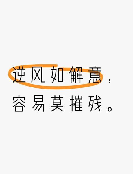 朔风凛冽的意思