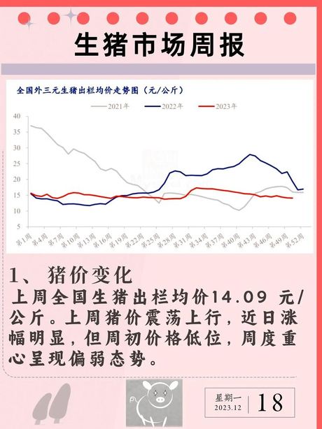 猪肉价格波动解析