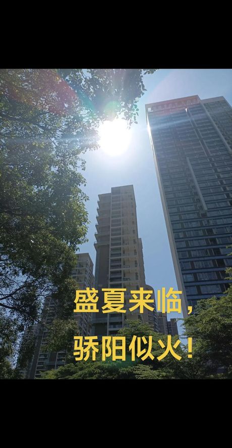 骄阳似火的意思