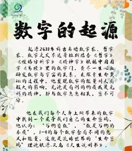256的奥秘：数字背后的故事