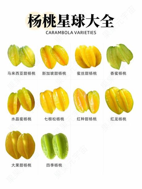 如何挑选新鲜美味的杨桃