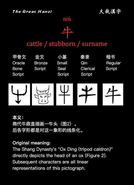 牛怎么拼，探索汉字“牛”的奥秘
