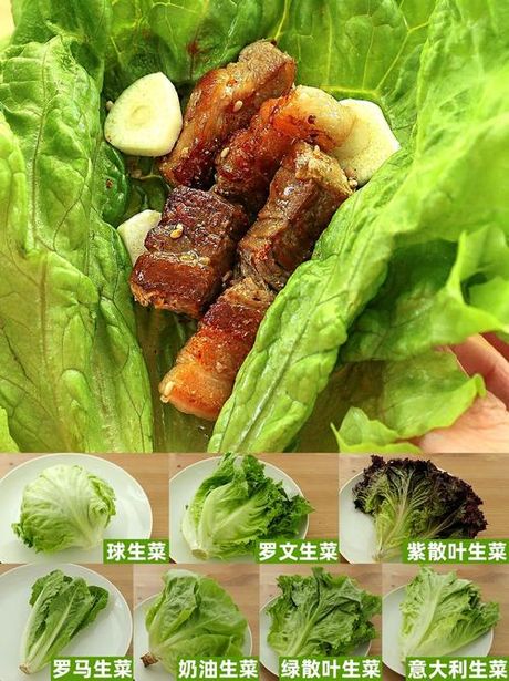 生菜怎么做：从清洗到烹饪的完整指南