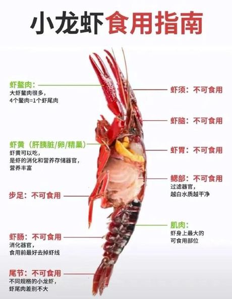 小龙虾哪些部位可以吃，小龙虾可食用与不可食用部位详解