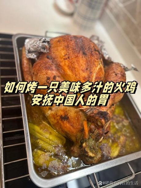 如何烹饪美味的火鸡