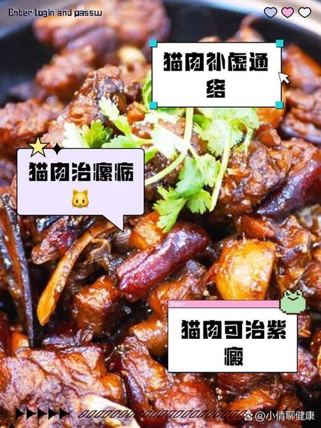 猫肉可以吃吗？——一场关于猫肉的科普之旅