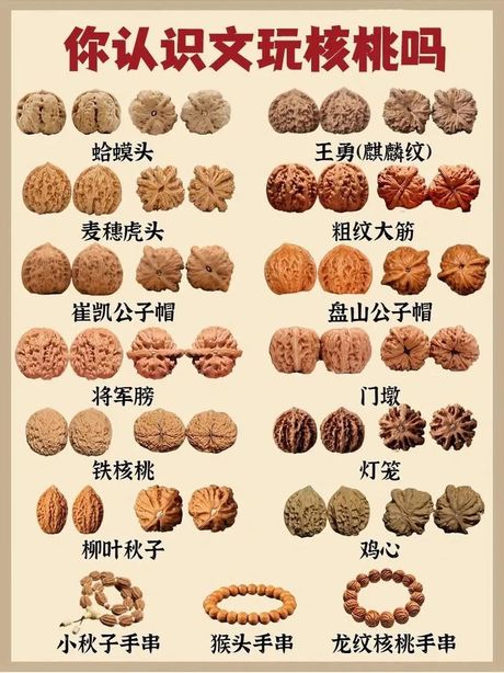 新入手文玩核桃怎么盘，盘玩文玩核桃的入门指南