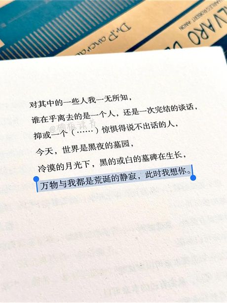 万物与我都是荒诞的静寂：探索佩索阿的诗意世界